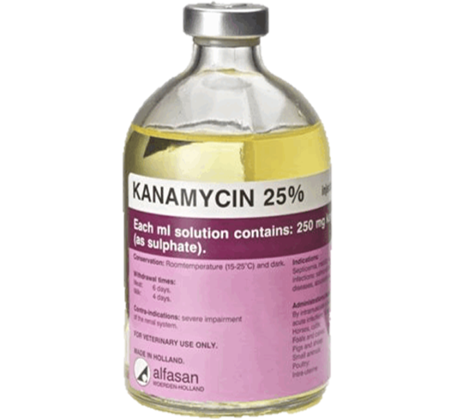 kanamycin 25 %